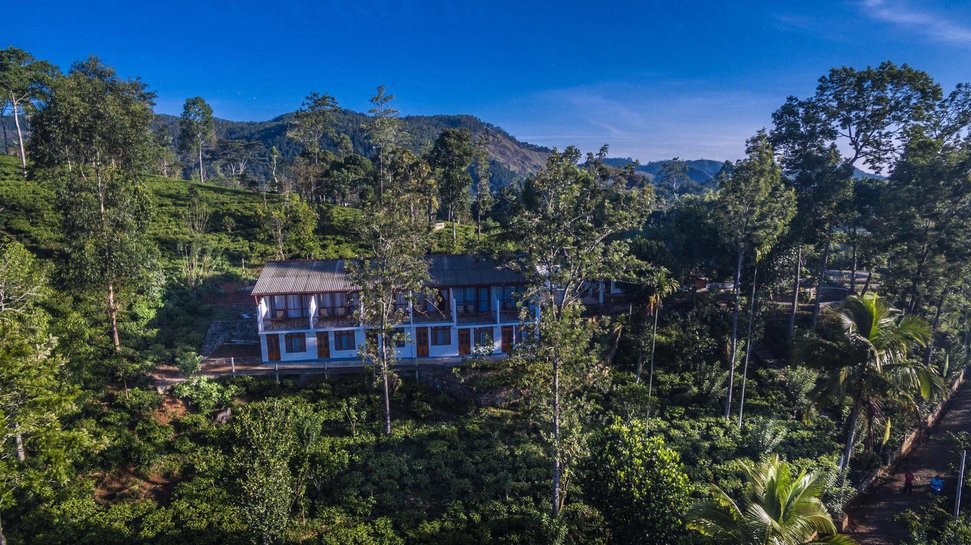 The Tea Tree Resort Ella Kültér fotó