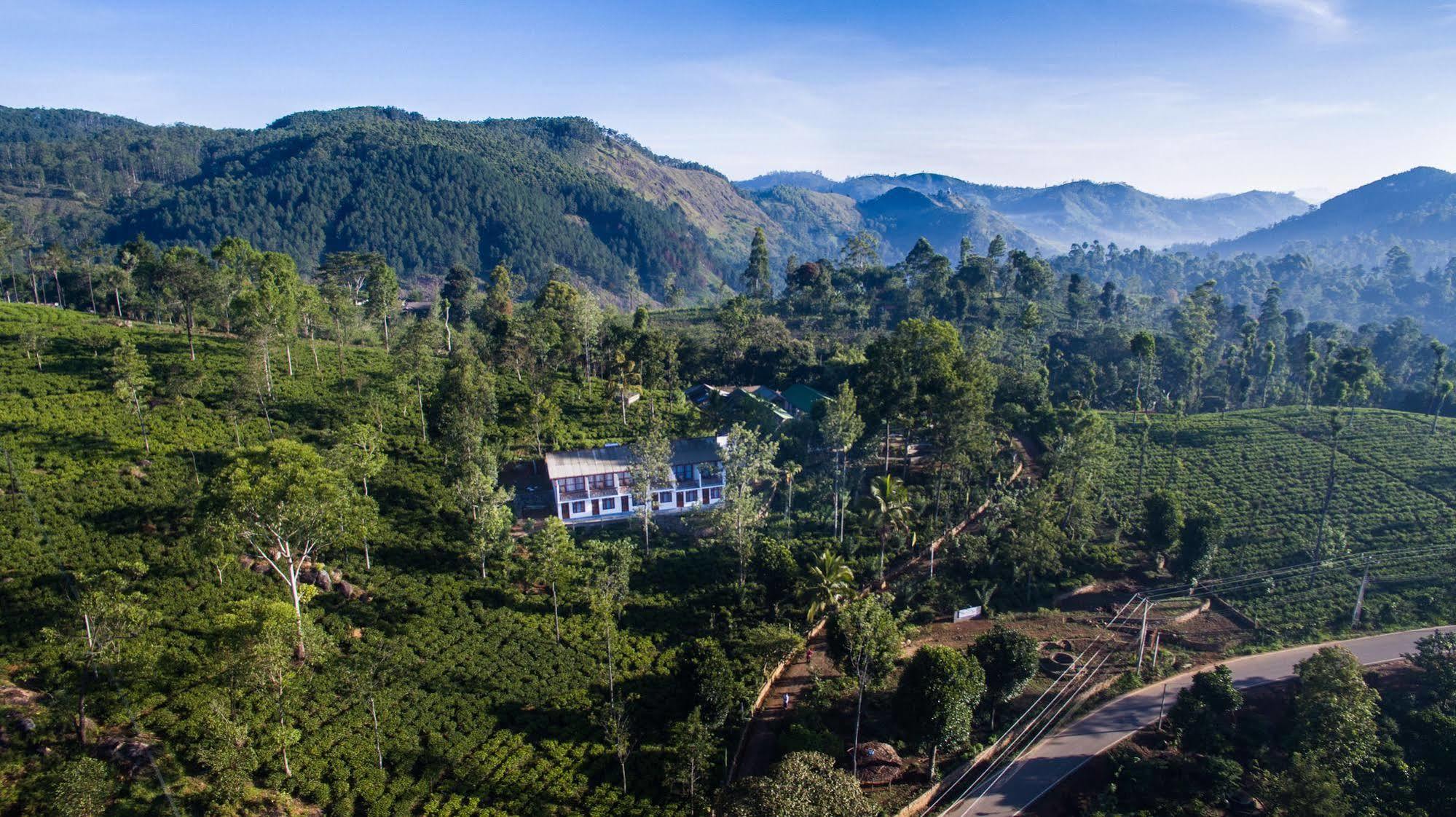 The Tea Tree Resort Ella Kültér fotó