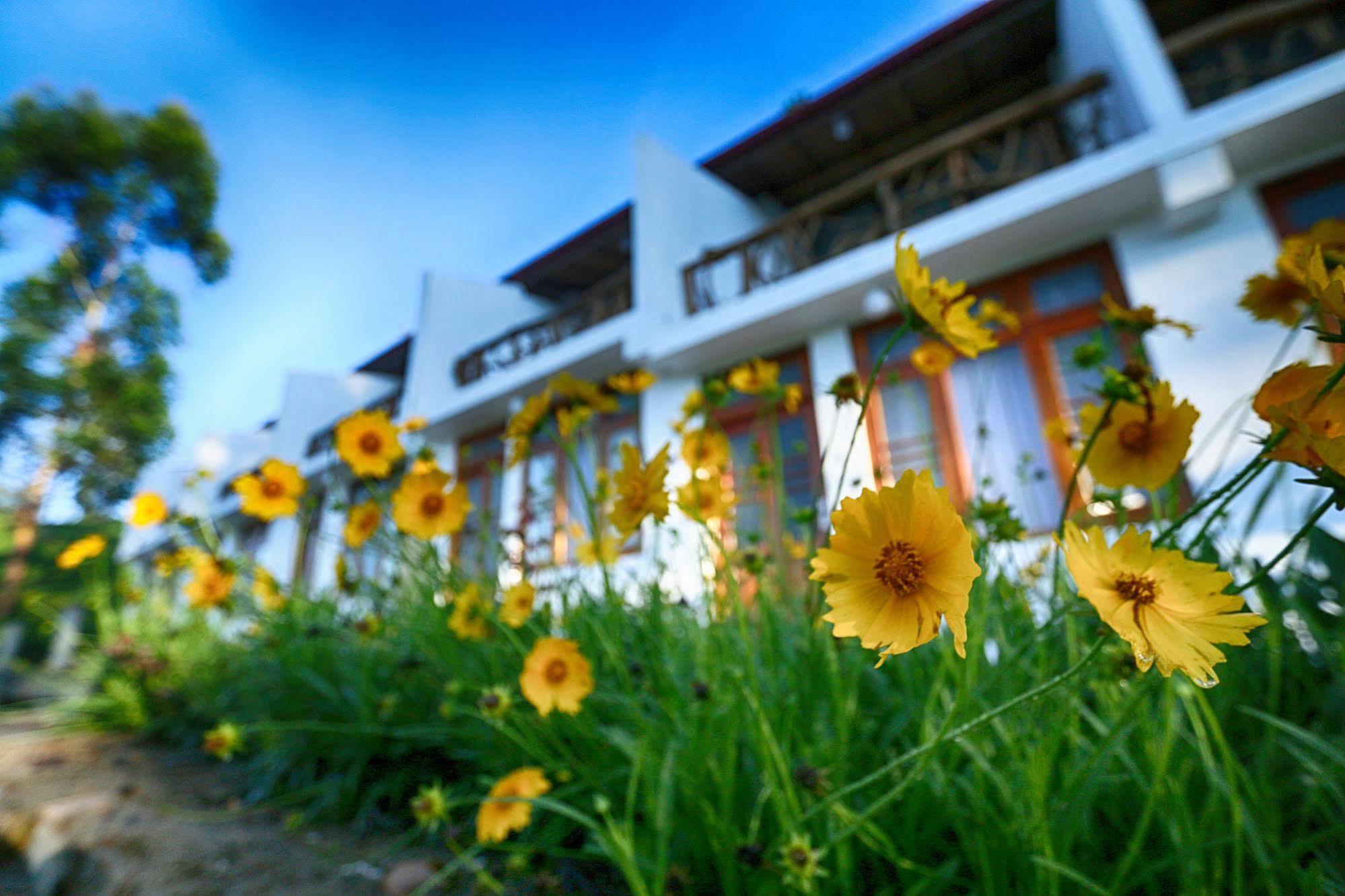 The Tea Tree Resort Ella Kültér fotó