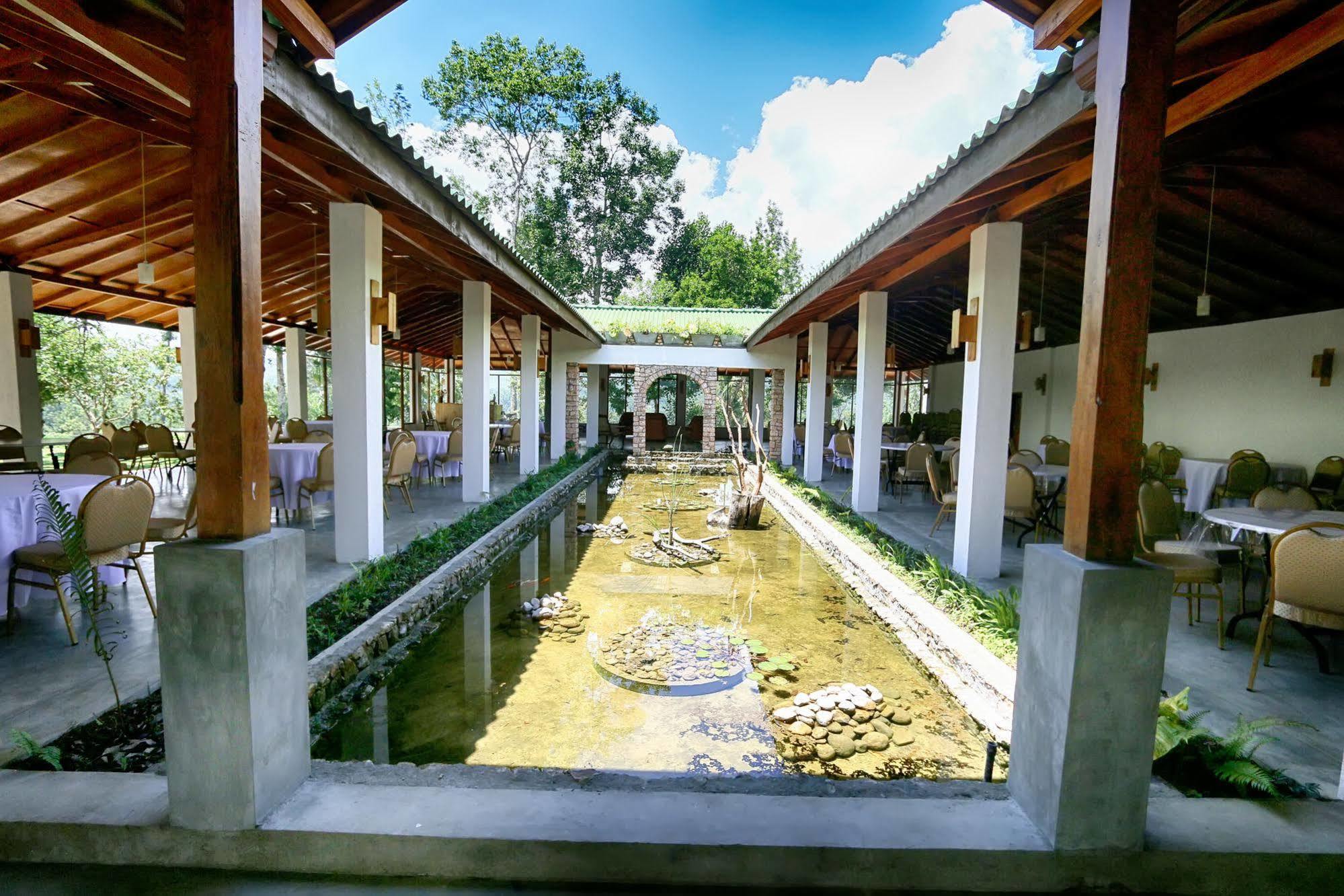 The Tea Tree Resort Ella Kültér fotó