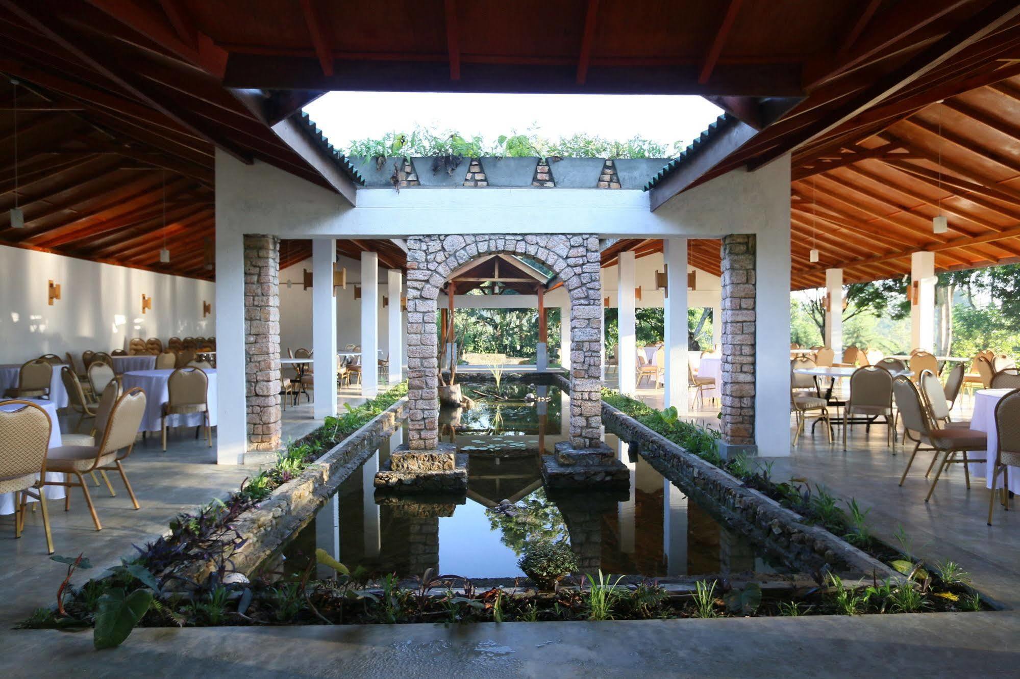 The Tea Tree Resort Ella Kültér fotó
