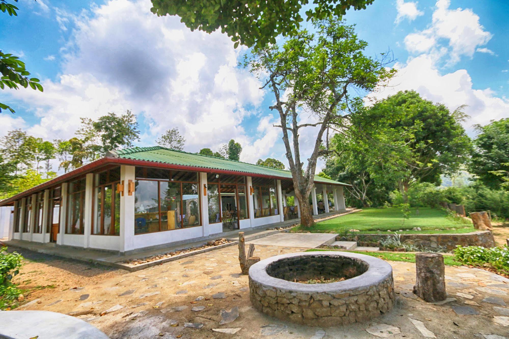 The Tea Tree Resort Ella Kültér fotó
