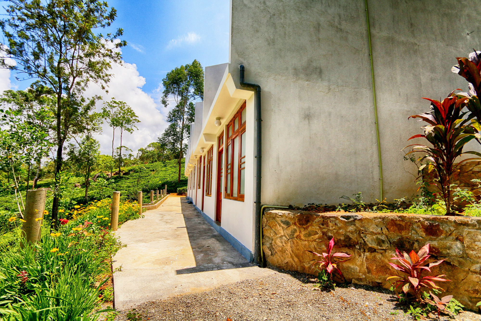 The Tea Tree Resort Ella Kültér fotó