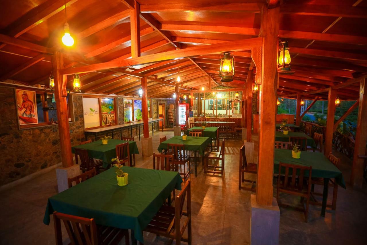The Tea Tree Resort Ella Kültér fotó